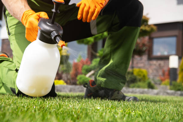 Best Pest Control for Businesses  in Fremont, OH