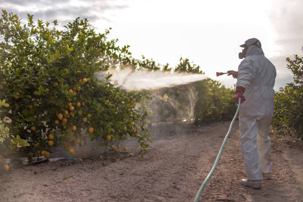 Trusted Fremont, OH Pest Control Experts