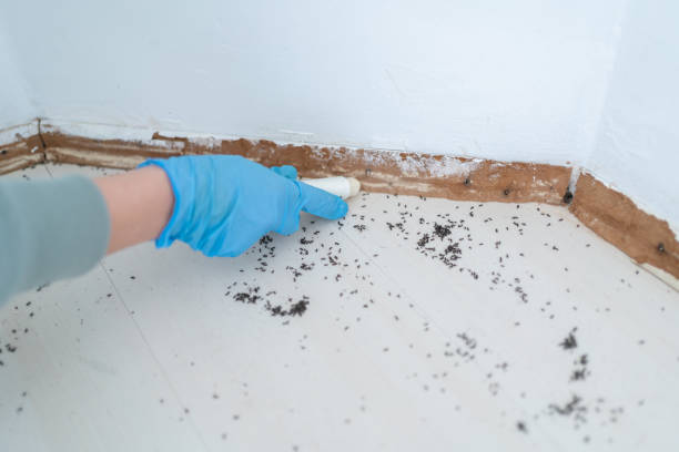 Best Local Pest Control Services  in Fremont, OH